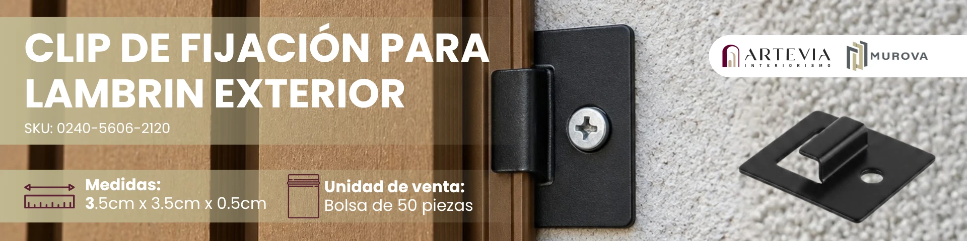 Web.webp